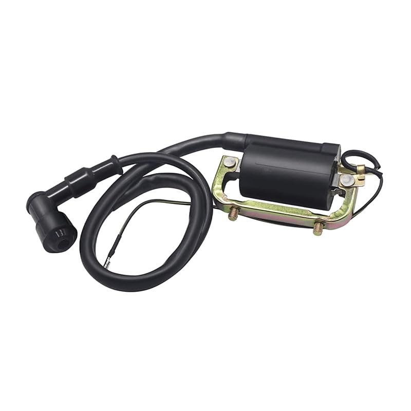 Deepa Ribusu 30530-126-921 Ignition Coil, 6 V Point Ignition, Mounting