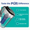 PUR PLUS Sistema de filtración de jarra de agua, 7