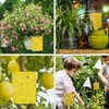 Gideal 50-Pack Dual-Sided Yellow Sticky Traps for Flying Plant Insect