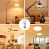 Flaspar JDE11 120V 100W, E11 Bulb, E11 Halogen Light Bulbs,