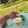 1pc Egg Separator, Flower Design Egg Separator For Kitchen, Kitchen
