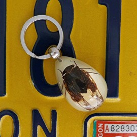 Real Insect Key Chain - Golden Cicada Glow- in-the-Dark