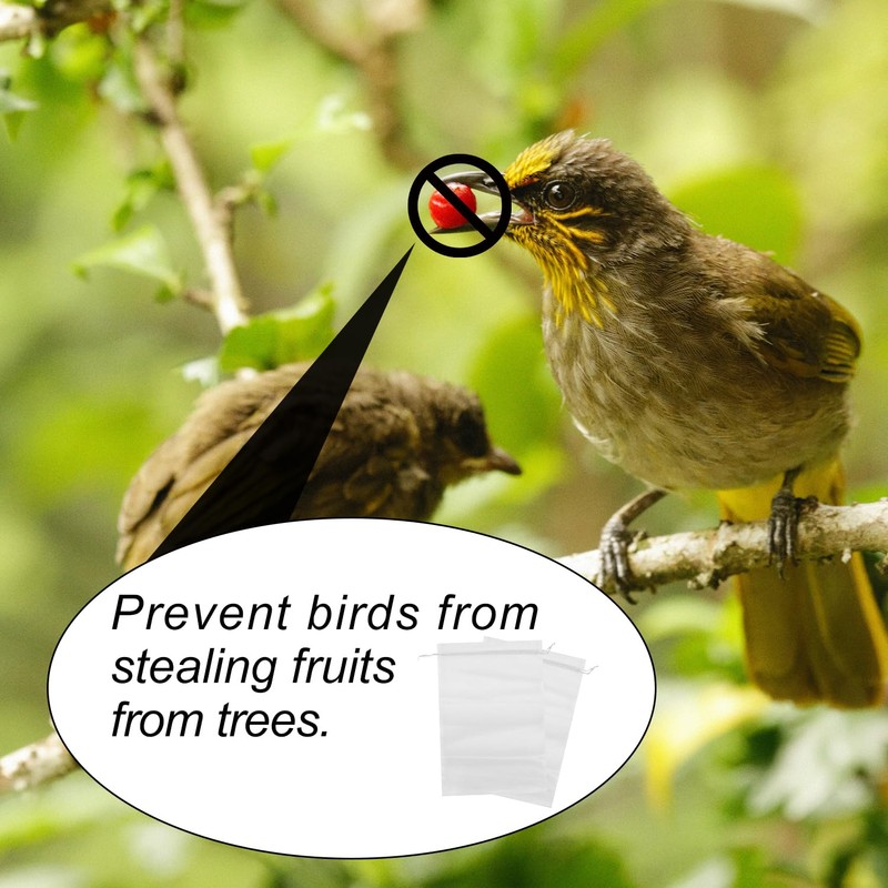 Rumyve24pcs Fruit Net Bag with Drawstring,20× 30cm Garden Fruit cover