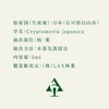 Shinchi Forestry Essential Oil Japanese Essential Oil Natural 100% Cedar