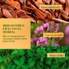 HERBAL ESSENCES Bio:Renew, Acondicionador Rosemary & Herbs, Sin Parabenos ni