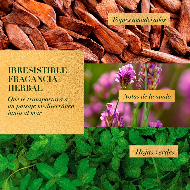 HERBAL ESSENCES Bio:Renew, Acondicionador Rosemary & Herbs, Sin Parabenos ni
