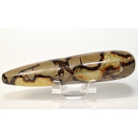 5" 155g Natural Septarian Dragon Massage Wand Polished Fossil Yellow Brown Calcite Aragonite Crystal Rock Mineral Stone Stick - Madagascar + One Polished Clear Quartz Cabochon