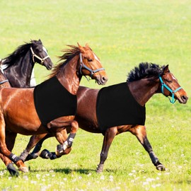Sadnyy 2 Pcs Stretch Horse Shoulder Guard Elastic Polyester Horse Gear Vest Anti-rub Bib Sleezy Chest Saver Protector Wither Shoulder Guard Comfortable Bodies Care Protection(M,Black+Black)