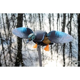 MOJO Outdoors Elite Series Woody - Premium Waterfowl and Duck Hunting Decoy