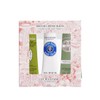 TRÍO DE MANOS CLÁSICOS PROVENZALES, L'OCCITANE