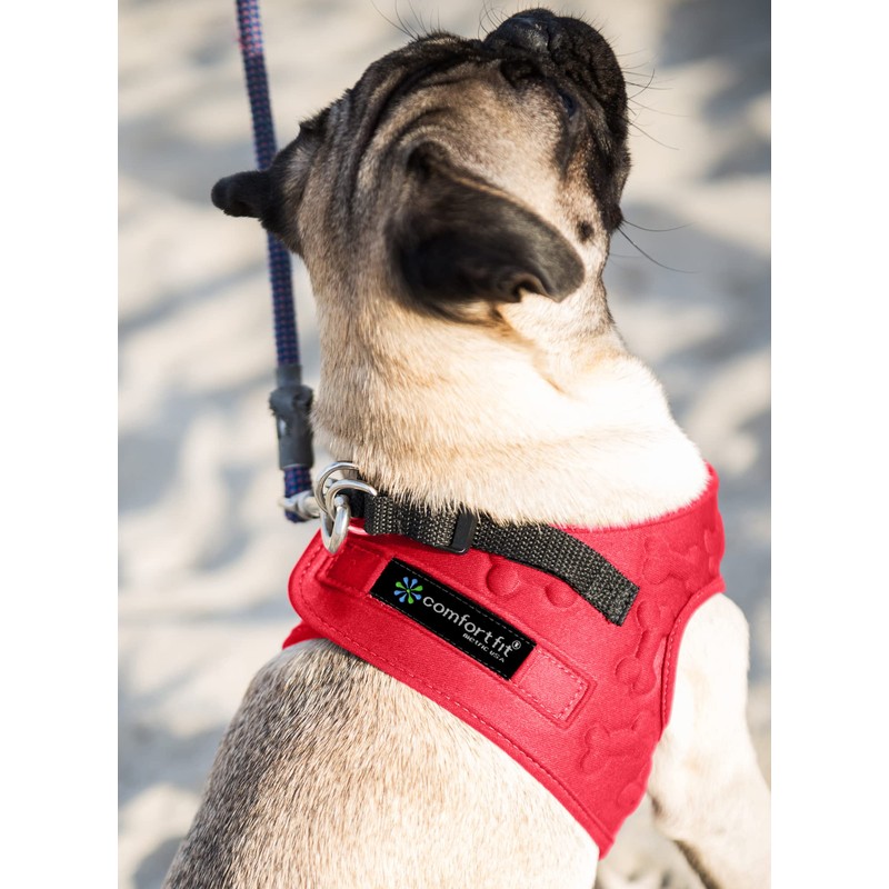 Comfort Fit No Pull Step-in Dog Harness – XS Harness