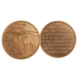 Wendells Camel Poem One Day At A Time Desert Scene Sun AA Medallion Bronze Chip