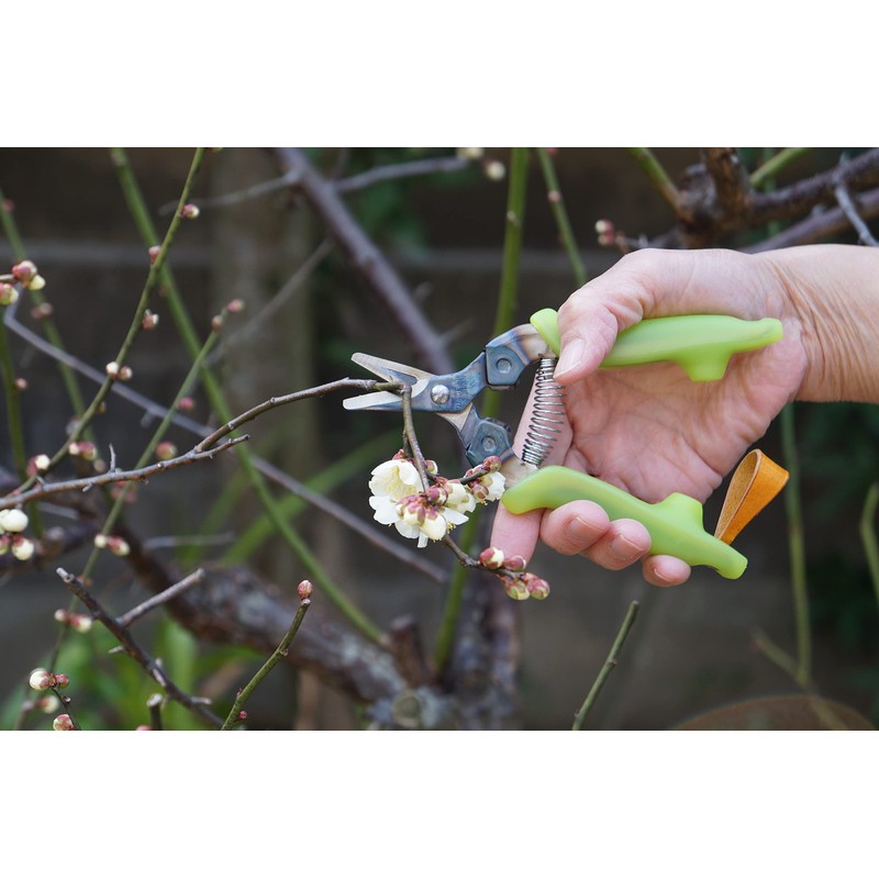 Udo Ergo Laboratory Garden Scissors Doctor Cut SAIKA Pro Blue