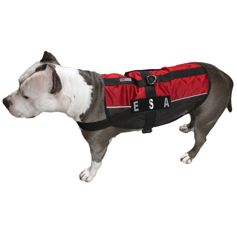 Dogline ESA Vest Patches – Removable ESA Patch 2-Pack with