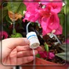 Honoson Plant Drip Irrigation Bag Automatic Irrigation Device with Water