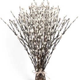 Oning 60 Stems 17＂Real Dried PussyWillow Branches for Vase, Natural PussyWillows with White Flowers, Snow Willow Branches for Indoor and Outdoor Decor, Wedding Home Party Hotel Fireplace Yard