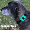 Dapper Dog Pet Tag Silencer and AirTag Holder (Teal with