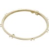 Pentair 79211600 Brass Concrete Plaster Ring Replacement Large Stainless Steel