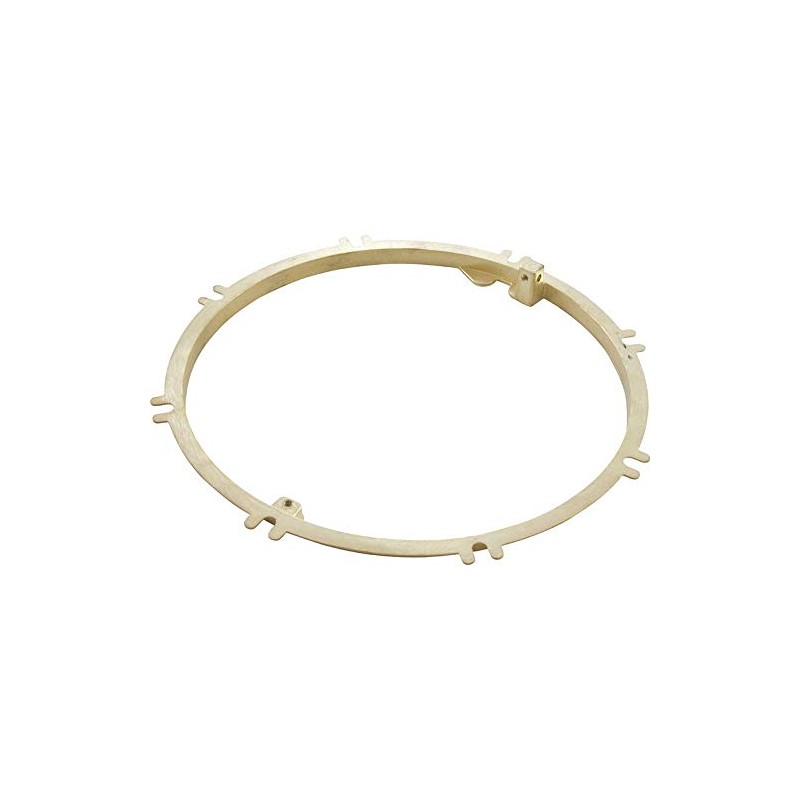 Pentair 79211600 Brass Concrete Plaster Ring Replacement Large Stainless Steel