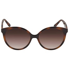 Salvatore Ferragamo Brown Gradient Round Ladies Sunglasses SF1071S 240 58
