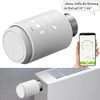 revolt Thermostat: Programmable WLAN Radiator Thermostat with App and Voice