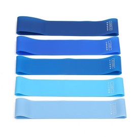 SHEEN Resistance Bands [Set of 5], Resistance Band for Women and Men, Skin-Friendly Fitness Exercise Loop Bands 5 Levels for Legs and Glutes,Arms,Pilates,Yoga (BLUE)