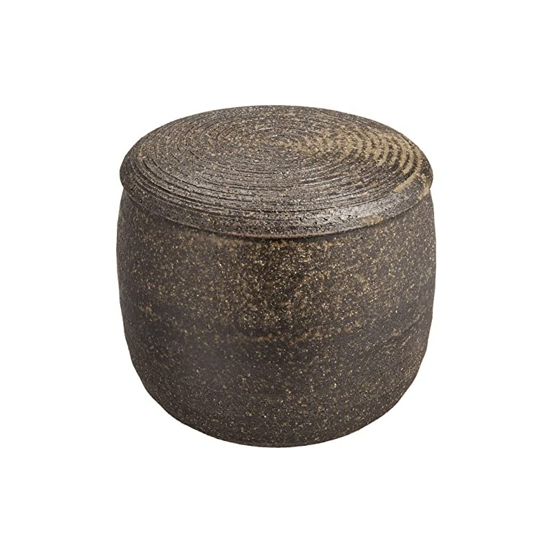 Egg Plant Iga Ware Ohitsu