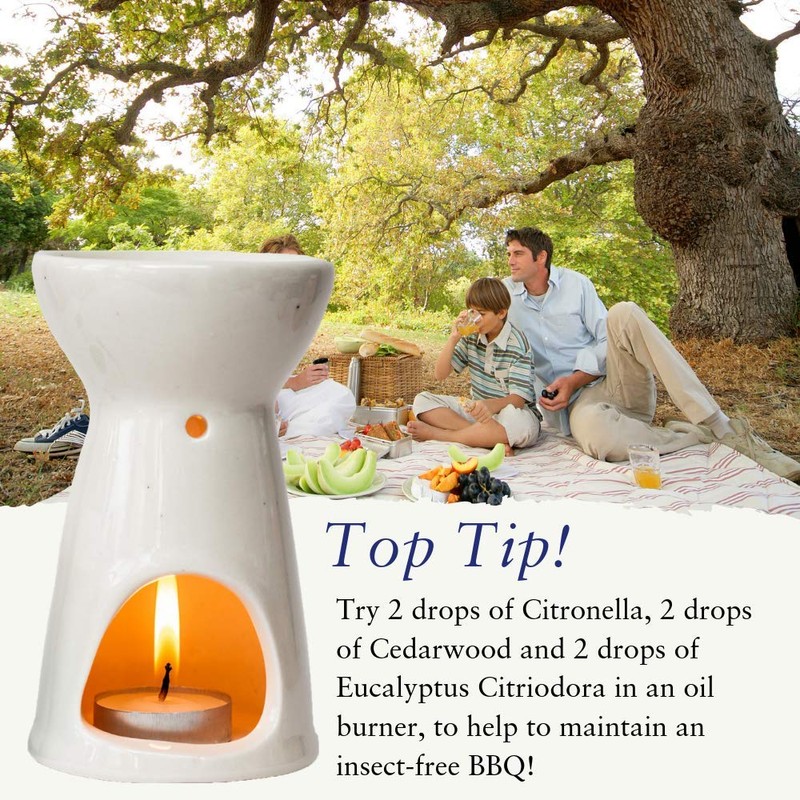 Absolute Aromas Zuhause Pack mit ätherischen Ölen - Set mit