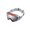 Alpland Ski Glasses Snowboard Goggles Ski Goggles for Women Lady