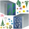 38 Sheets Cyanotype Sun Print Kit With 2 Clear Acrylic