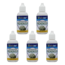5 Té De Hongo Melena De León En Gotas 30ml                                                                                                            