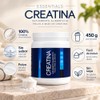 Nls Essentials Creatina Monohidratada Alta Pureza 450g
