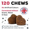 Bugalugs Urinary Tract Dog Chews helps stop dogs urinating in