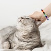 Zenithow Pet Memorial Gifts,Rainbow Bridge Bracelet for Beloved Pets,Cat Memorial