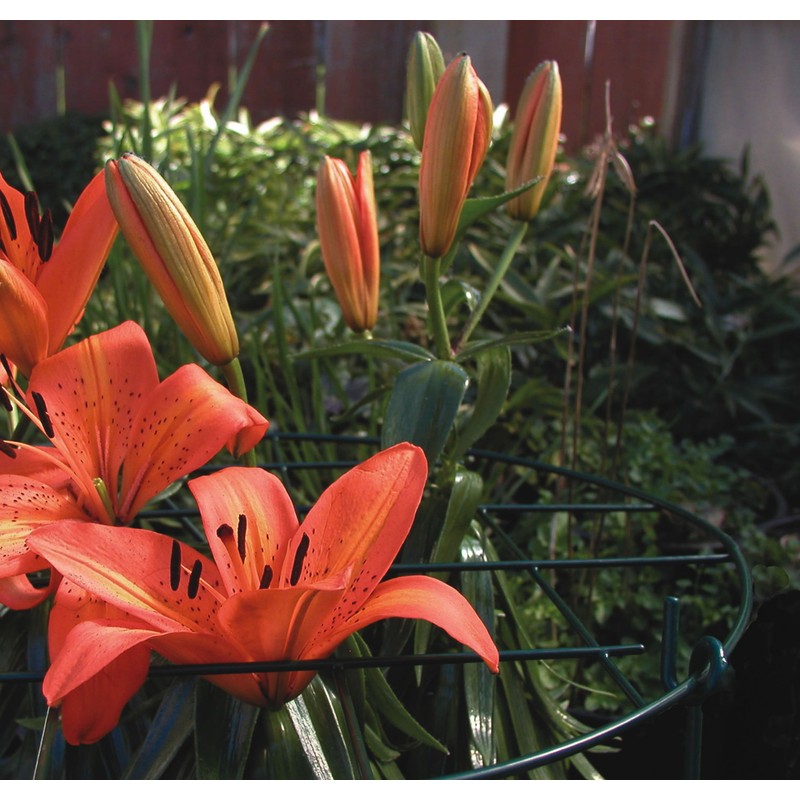 Luster Leaf (971) 12” Round Grow Through Grid w/ 18”