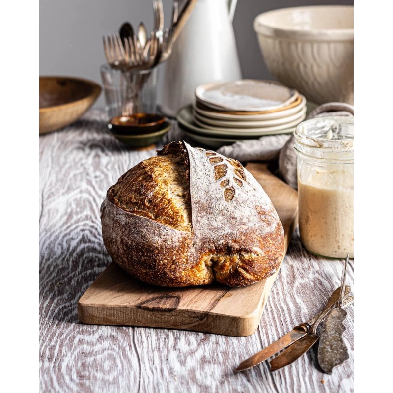 Heritage Sourdough Sourdough Starter DEHYDRATED Organic 175+ Year Old Italian
