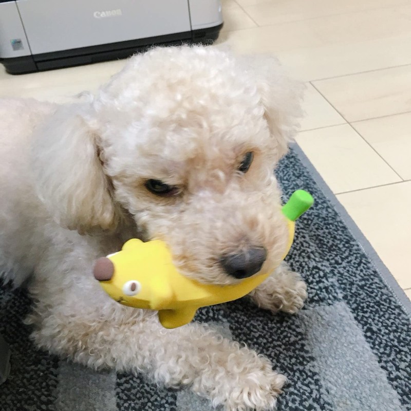 PLATZ PET SUPPLIS&FUN Dog Toy Banana Dog Yellow