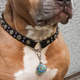 GRAPHICS & MORE Colorful French Fries Pattern Chrome Plated Metal Pet Dog Cat ID Tag