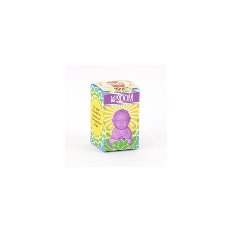 G127. Pocket Buddhas - Color: Peace