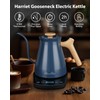 Harriet Gooseneck Electric Kettle - 1200W Fast Heat, 0.8L Stainless
