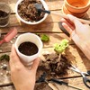 13 Pieces Bonsai Tools Set Succulent Mini Garden Hand Tools