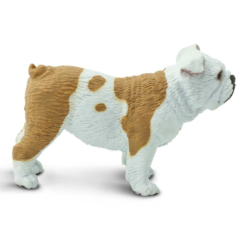 Safari Ltd. Bulldog Figurine - Lifelike 2.25" Model Figure -