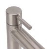 Kitchen Faucet Single Hole Stainless Steel Single Cold Sink Faucet