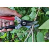 Sam 101 and Sam 101+ Secateurs Clips