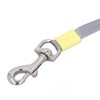Dog Walking Leash Portable ABS Automatic Telescopic Retractable Dog Leash