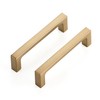 Ravinte 5 Pack Solid 3-1/2 Inch Kitchen Square Cabinet Handles