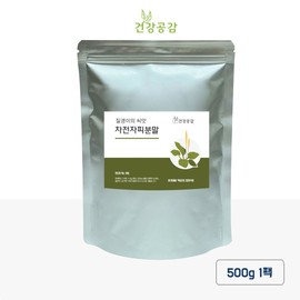 Health Empathy Psyllium Husk Powder 500G / 건강공감 차전자피분말 500G
