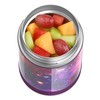 THERMOS 16oz/470ml Stainless Steel Vacuum Insulated Food Jar with Spoon,