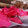 Doutop Rose Petals Red Artificial Silk Flower Rose Petals /