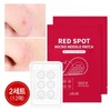 레드 스팟 마이크로패치 6매x2세트 총12매) Red Spot Micro Patch (6 Sheets x 2 Sets, Total 12 Sheets)